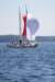 j29s036_small.jpg
