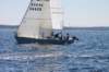 j29s056_small.jpg