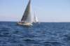 j29s073_small.jpg