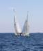 j29s080_small.jpg