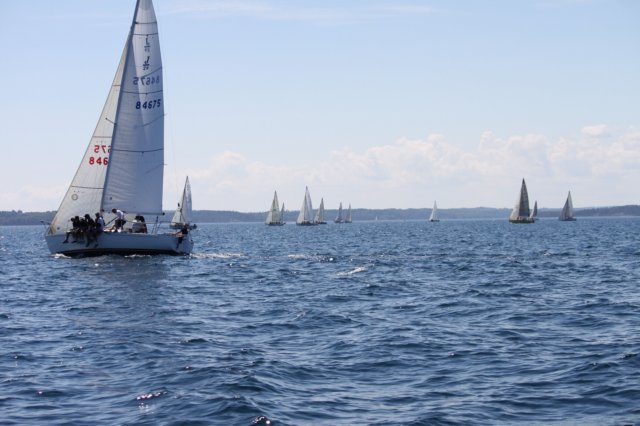 j29s098.jpg
