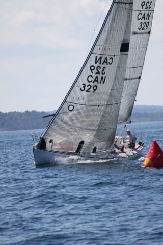 j29s113.jpg