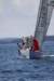 j29s116_small.jpg