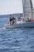 j29s119_small.jpg