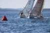 j29s121_small.jpg