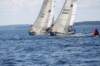 j29s137_small.jpg