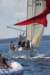 j29s149_small.jpg