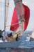 j29s154_small.jpg