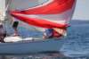 j29s175_small.jpg