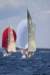 j29s183_small.jpg