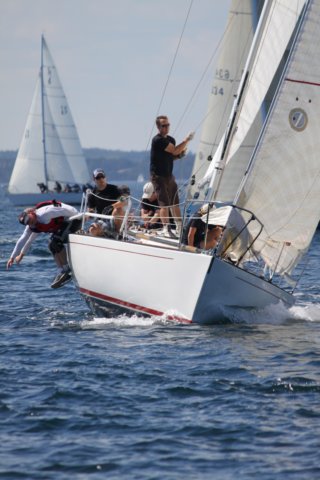 j29s205.jpg