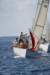 j29s209_small.jpg