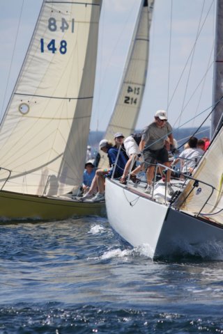 j29s217.jpg
