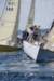 j29s219_small.jpg