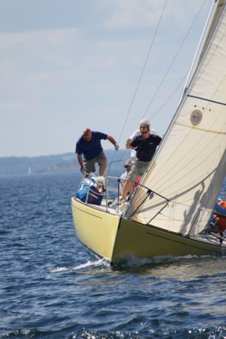 j29s225.jpg