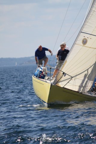j29s226.jpg