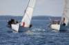 j29s232_small.jpg
