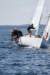 j29s233_small.jpg
